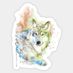 Wolf face watercolor Sticker